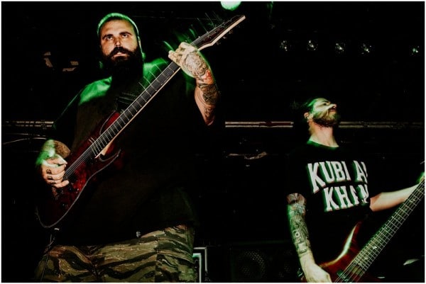acacia-strain-195