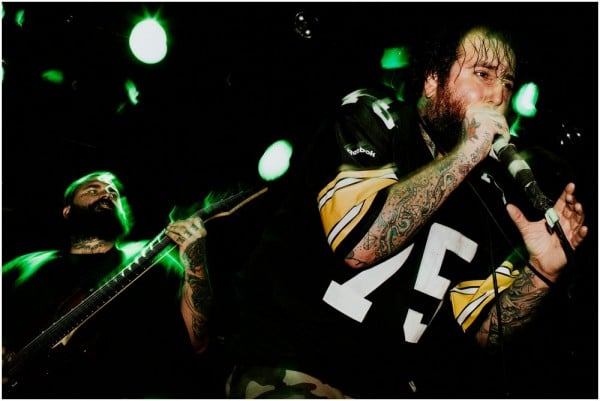 acacia-strain-196