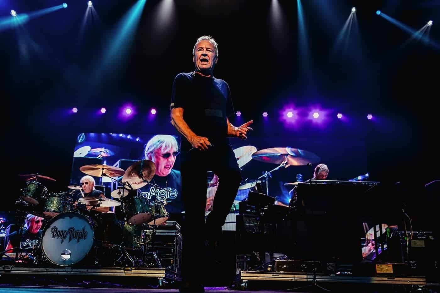 deep purple montreal