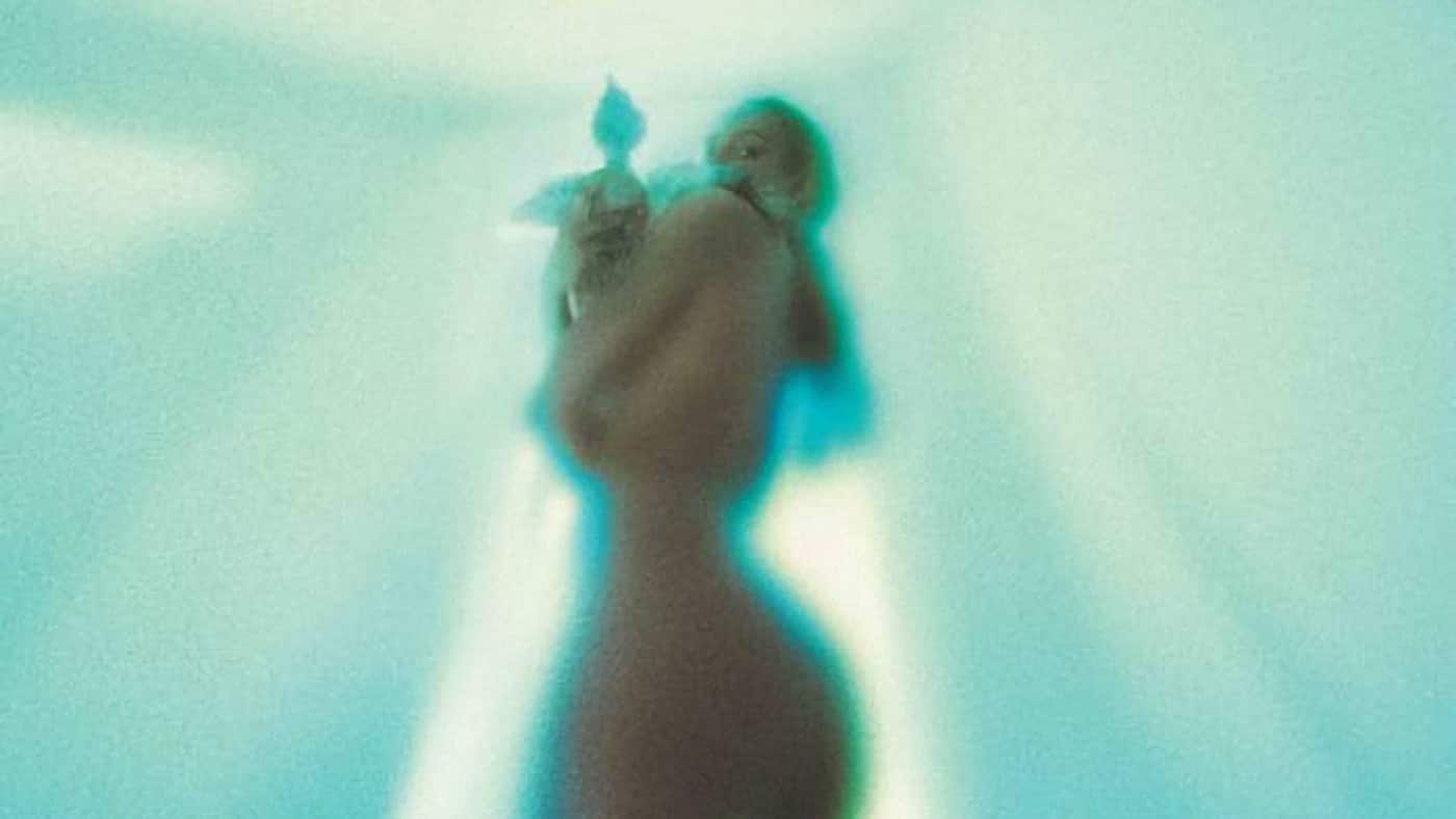 OURI frame of a fauna